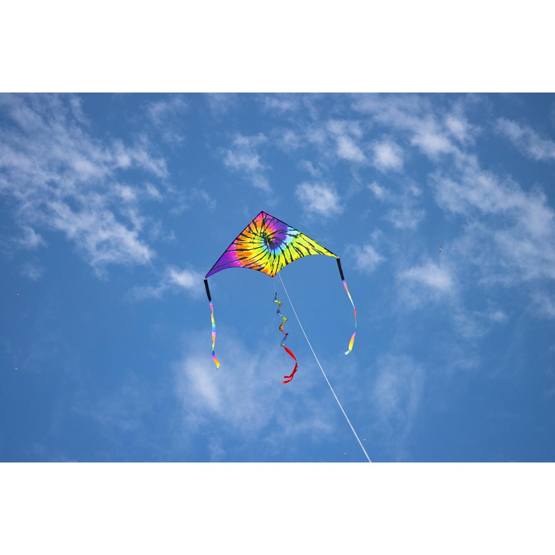 Rainbow Rider 2M Delta Flying Smiles Kites