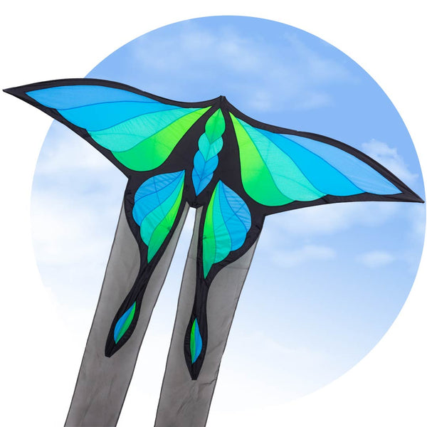 Brasington Lunar Moth