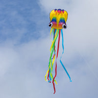 Rainbow Octopus Kite (Small Size)