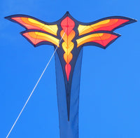 Dragonfly Kite Hot