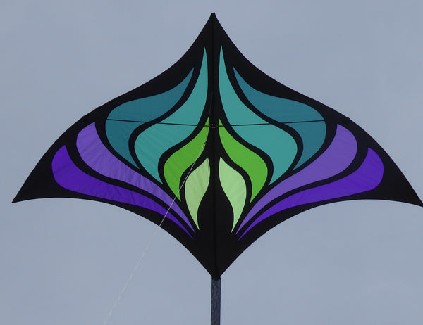 Ray Kite