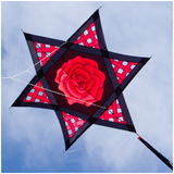 Willi Koch Lattice Work Rose