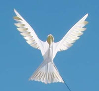 Longbottom Dove Kite