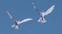 Longbottom Dove Kite