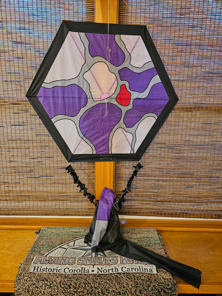 Carolina Comet by Colin B McCauley