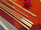 10.5' Kites of the Four Winds Delta