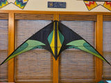 Cross Fire Sport Kite