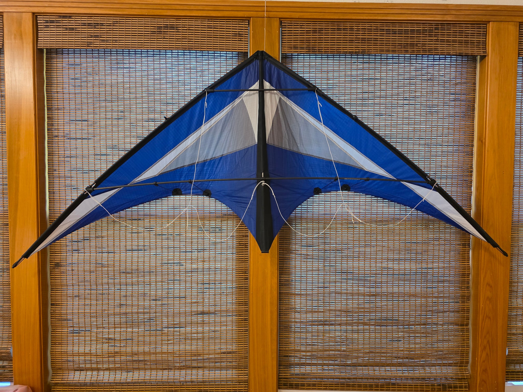 Nighthawk Sport Kite – Flying Smiles Kites