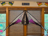 Prism Illusions