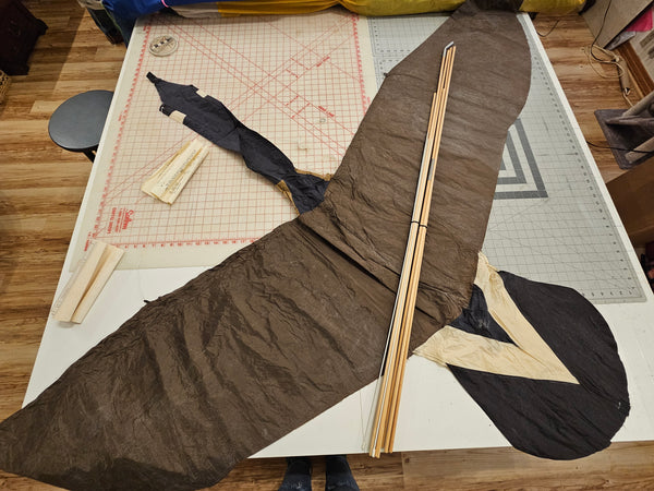 Martin Lester Canadian Goose