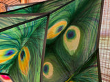 Peacock Pente Cellular