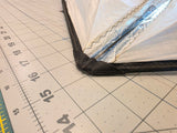 Prism 4D - Needs nose repair